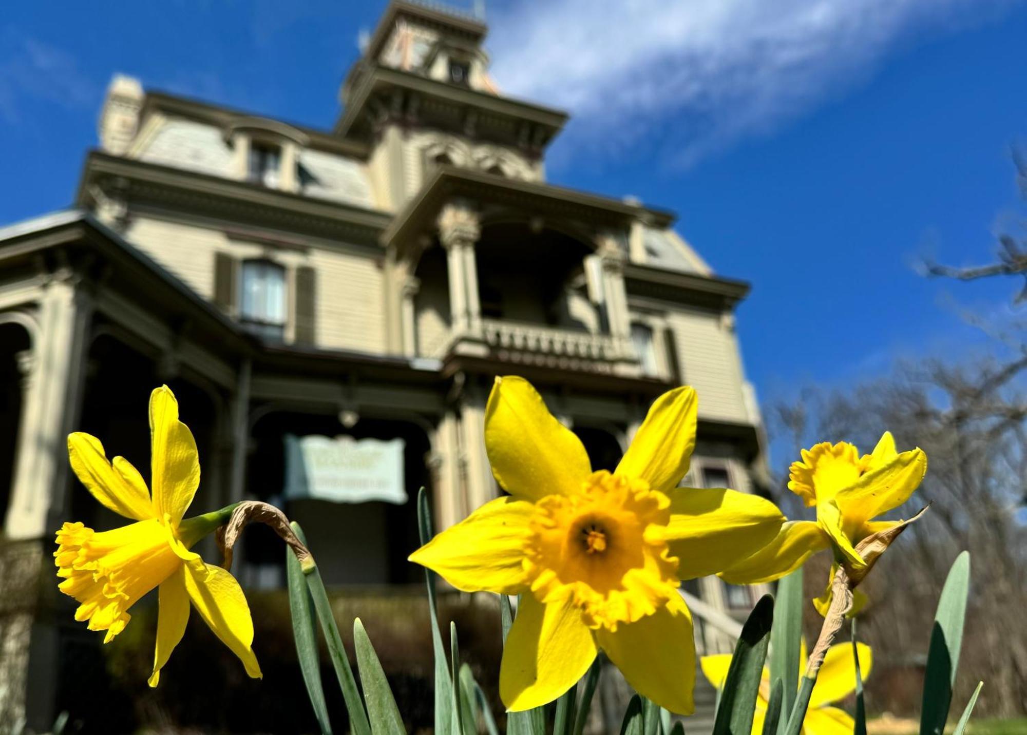 Garth Woodside Mansion Bed And Breakfast Hannibal Exterior foto